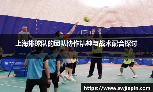 上海排球队的团队协作精神与战术配合探讨