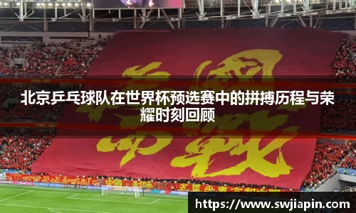 北京乒乓球队在世界杯预选赛中的拼搏历程与荣耀时刻回顾